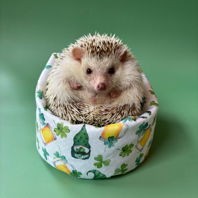 St Patrick's Day mini bean bag photo prop. Hedgehog bean bag.