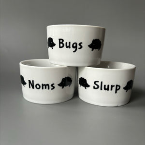 Deep edge ceramic hedgehog food and water bowls. Noms, slurp and bugs bowls.