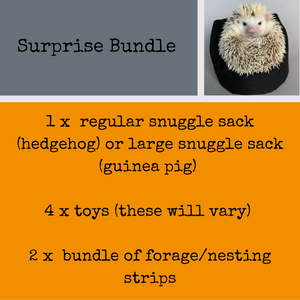 Surprise Bundle! Mystery Box! Snuggle sack and toys for hedgehogs and guinea pigs.