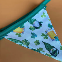 Load image into Gallery viewer, Irish gnomes miniature bunting. Viv decorations. Cage decorations.