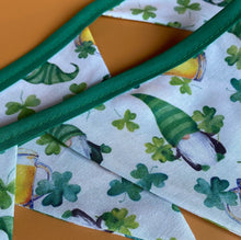 Load image into Gallery viewer, Irish gnomes miniature bunting. Viv decorations. Cage decorations.