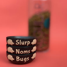 Load image into Gallery viewer, Ceramic hedgehog food and water bowls. Noms and slurp bowls.