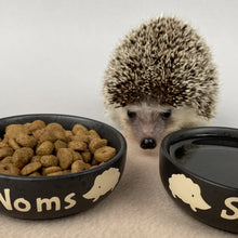 Load image into Gallery viewer, Ceramic hedgehog food and water bowls. Noms and slurp bowls.