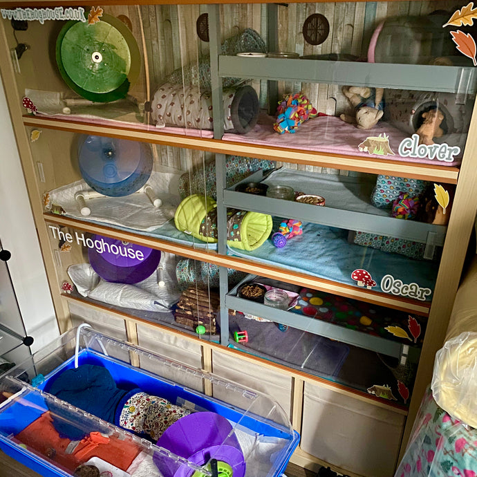 The Hoghouse Vivariums
