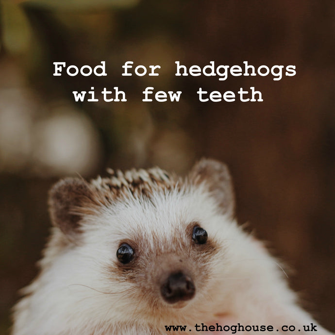 Food for hedgehogs with few teeth