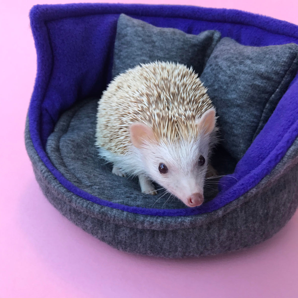 Cuddle Cups – The Hoghouse