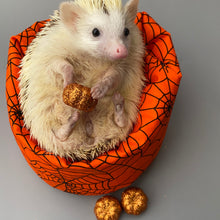 Load image into Gallery viewer, Halloween spider web mini bean bag photo prop