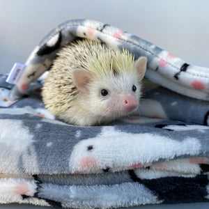Winter animals cuddle fleece handling blankets for small pets. Fleece lap blankets.