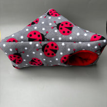 Load image into Gallery viewer, Ladybird corner house. Hedgehog and small pet cube house.