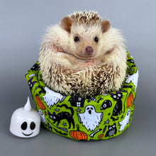 Load image into Gallery viewer, Halloween bean bag photo prop.