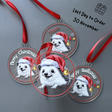 Load image into Gallery viewer, Happy Quills Christmas decoration. Personalised hedgehog Christmas bauble.
