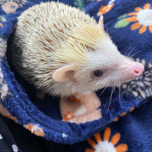 Load image into Gallery viewer, Navy hedgehogs cuddle fleece handling blankets for small pets. Fleece lap blankets.