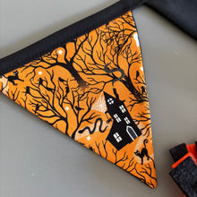 Load image into Gallery viewer, HALLOWEEN TOY BUNDLE: Glow in the dark bunting and toys for hedgehogs.