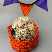 Load image into Gallery viewer, Halloween spider web mini bean bag photo prop
