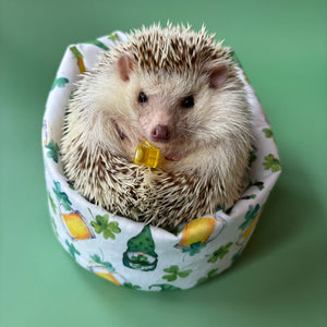 St Patrick's Day mini bean bag photo prop. Hedgehog bean bag.