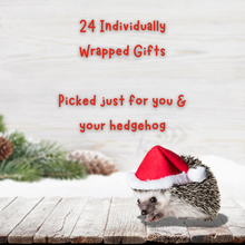 Load image into Gallery viewer, PRE-ORDER: The Hoghouse Paw-some 2025 Advent Calendar. 24 day Christmas Advent Calendar.