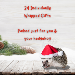 PRE-ORDER: The Hoghouse Paw-some 2025 Advent Calendar. 24 day Christmas Advent Calendar.
