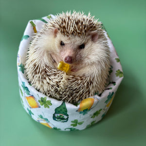 St Patrick's Day mini bean bag photo prop. Hedgehog bean bag.