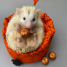 Load image into Gallery viewer, Halloween spider web mini bean bag photo prop