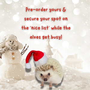 PRE-ORDER: The Hoghouse Paw-some 2025 Advent Calendar. 24 day Christmas Advent Calendar.