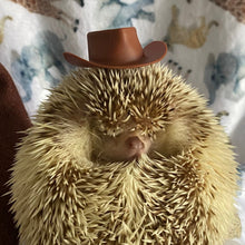 Load image into Gallery viewer, Cowboy or safari hat for photo props. Hedgehog photo prop hat.