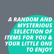 Load image into Gallery viewer, SALE: Guinea Pig Mystery Box