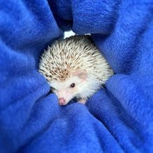 Load image into Gallery viewer, Rainbows mini set. Tunnel, snuggle sack and toys. Hedgehog fleece bedding.