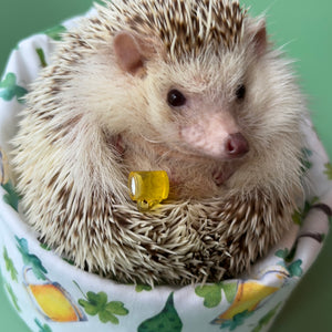 St Patrick's Day mini bean bag photo prop. Hedgehog bean bag.