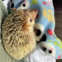 Load image into Gallery viewer, Bunny &amp; panda bubble fleece handling blankets for small pets.