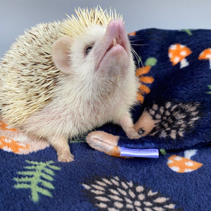 Navy hedgehogs cuddle fleece handling blankets for small pets. Fleece lap blankets.