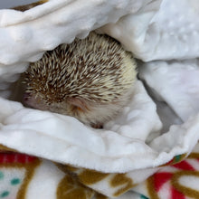 Load image into Gallery viewer, Festive Christmas fleece bubble fleece handling blankets for small pets.