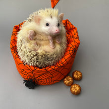 Load image into Gallery viewer, Halloween spider web mini bean bag photo prop