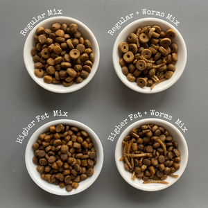 1kg (2.20 lb) African pygmy hedgehog food mix. Hedgehog biscuit mix. Dry food mix.
