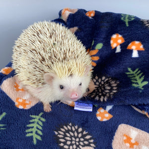 Navy hedgehogs cuddle fleece handling blankets for small pets. Fleece lap blankets.