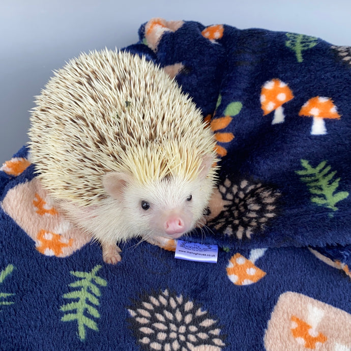 Navy hedgehogs cuddle fleece handling blankets for small pets. Fleece lap blankets.