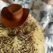 Load image into Gallery viewer, Cowboy or safari hat for photo props. Hedgehog photo prop hat.