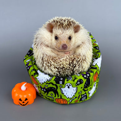 Halloween bean bag photo prop.