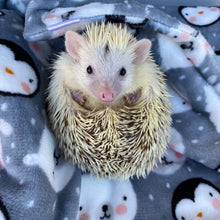 Load image into Gallery viewer, Winter animals cuddle fleece handling blankets for small pets. Fleece lap blankets.