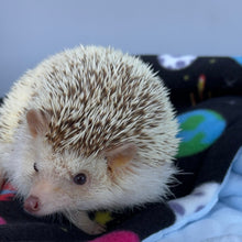 Load image into Gallery viewer, Outer space fleece bubble fleece handling blankets for small pets.