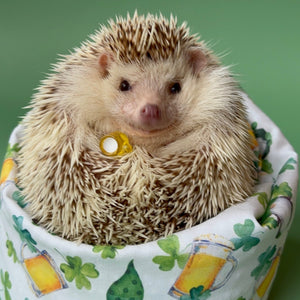 St Patrick's Day mini bean bag photo prop. Hedgehog bean bag.