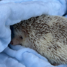 Load image into Gallery viewer, Outer space fleece bubble fleece handling blankets for small pets.