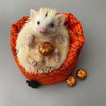 Load image into Gallery viewer, Halloween spider web mini bean bag photo prop