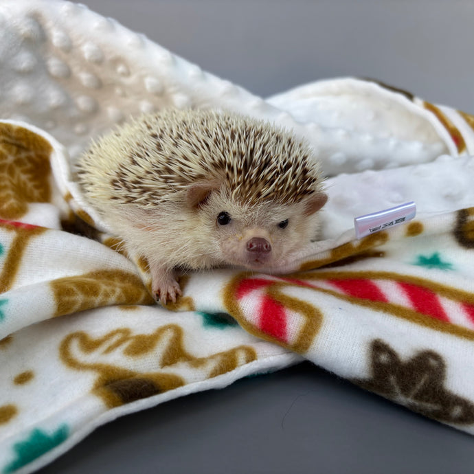 Festive Christmas fleece bubble fleece handling blankets for small pets.