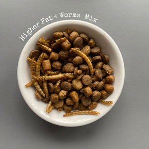 1kg (2.20 lb) African pygmy hedgehog food mix. Hedgehog biscuit mix. Dry food mix.