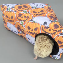 Load image into Gallery viewer, Pumpkin and skulls Halloween corner house. Hedgehog and small pet house.