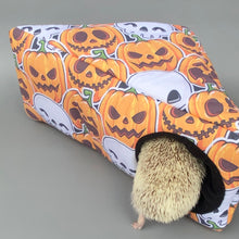 Load image into Gallery viewer, Pumpkin and skulls Halloween full cage set. Corner house, snuggle sack, tunnel set