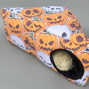 Pumpkin and skulls Halloween corner house. Hedgehog and small pet house.