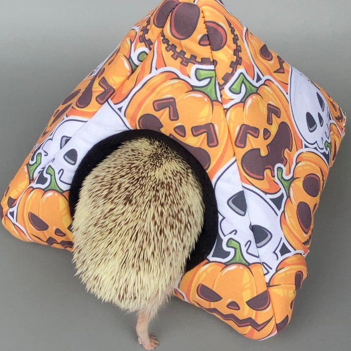 Pumpkin and skulls Halloween tent house. Hedgehog and small animal house.