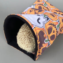 Load image into Gallery viewer, Pumpkin and skulls Halloween mini set. Tunnel, snuggle sack and toys.