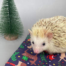 Load image into Gallery viewer, Navy festive party animals mini set. Tunnel, snuggle sack and toys. Hedgehog fleece bedding.